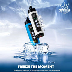 Al Fakher ICE ADJUST 15000 Puffs 22ml Original Disposable Vape Wholesale - EsmoVape