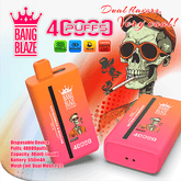 EU Warehouse BANG BLAZE 40000 Puffs 40ml Disposable Vape Wholesale - EsmoVape