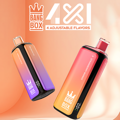 Wholesale BANGBOX 4-in-1 160K Puffs Disposable Vape (80ml) - EsmoVape