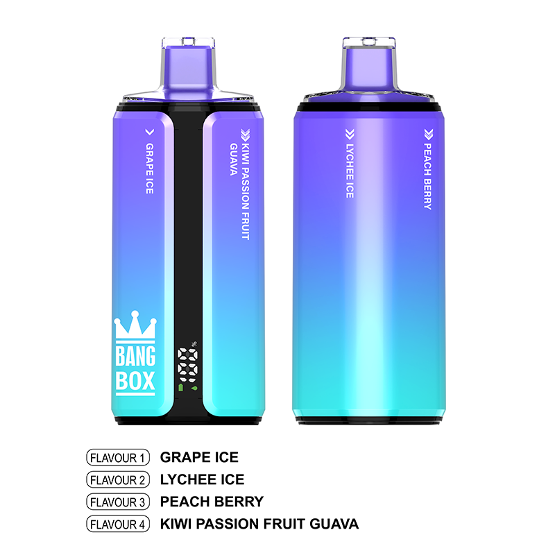 Wholesale BANGBOX 4-in-1 160K Puffs Disposable Vape (80ml) - EsmoVape