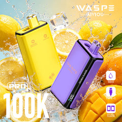 Wholesale Waspe Double Flavor PRO 100K Puffs Vape (EU Warehouse) - EsmoVape