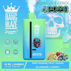 EU Warehouse BANG BLAZE 40000  Puffs 40ml Disposable Vape Wholesale - EsmoVape