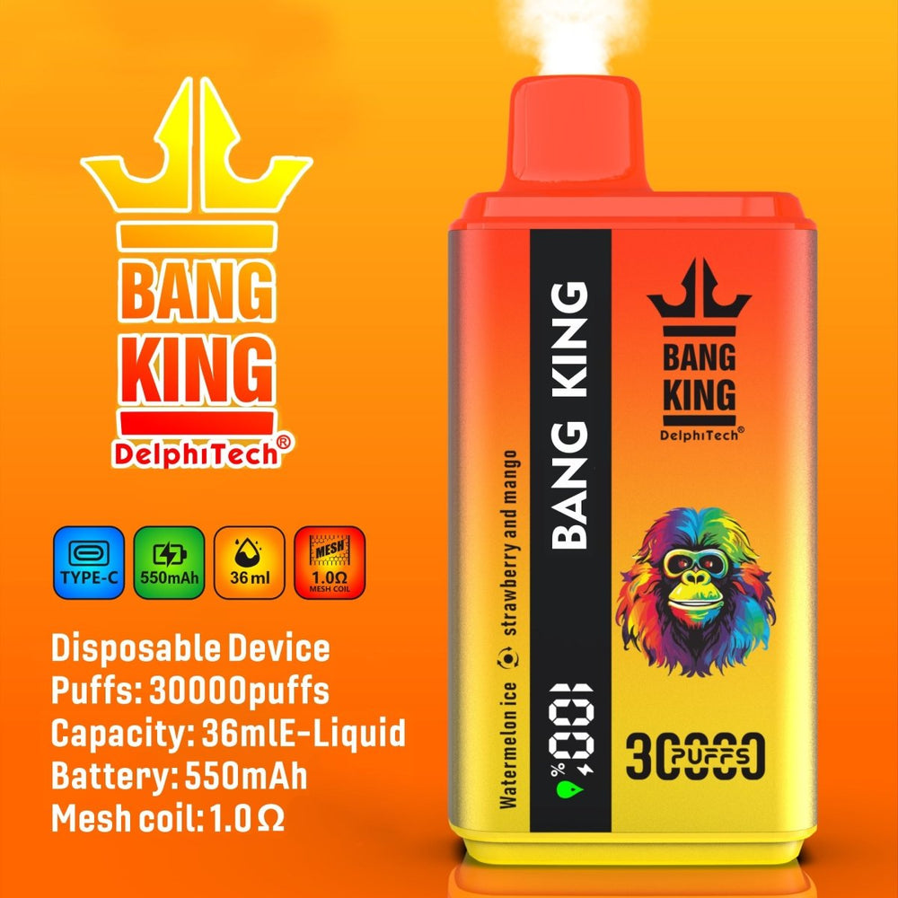 EU Warehouse BANG KING 30000Puffs DisposableVape Wholesale - EsmoVape
