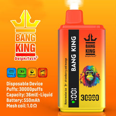 EU Warehouse BANG KING 30000Puffs DisposableVape Wholesale - EsmoVape