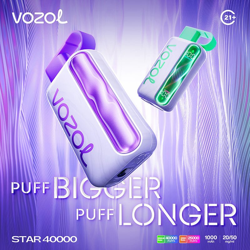 EU Warehouse VOZOL star 40000 Puffs 20ml Disposable Vape Wholesale - EsmoVape