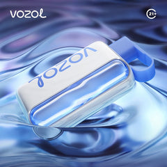 EU Warehouse VOZOL star 40000 Puffs 20ml Disposable Vape Wholesale - EsmoVape