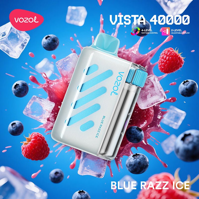 EU Warehouse Vozol Vista 40000 Puffs 20ml Disposable Vape Wholesale - EsmoVape