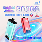 JNR Big Mac Shisha 80000 Puffs 55ml Disposable Vape Wholesale - EsmoVape