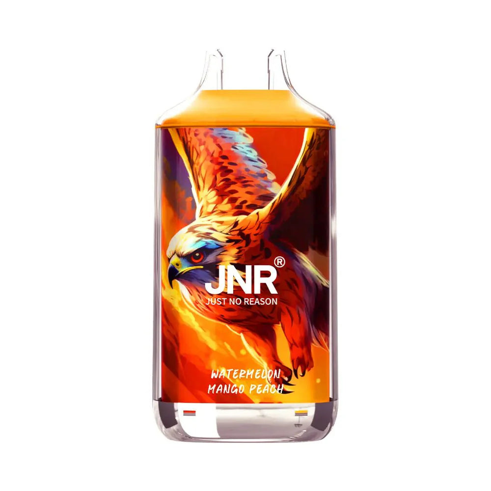 JNR Falcon 16000 Puffs Disposable Vape Wholesale - EsmoVape