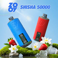 Wholesale ZOOY Shisha 50000 Puffs Disposable Vape (EU Warehouse)