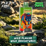Großhandel FIZZY X-SPACE 100.000 Züge Vape (EU-Lager) – EsmoVape