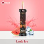 ARYMI Hookalit 40000 Puffs Disposable Vape Wholesale - EsmoVape