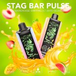 EU-Lager Stagbar Pulse 35.000 Züge Einweg-E-Zigarette Vape Großhandel – EsmoVape