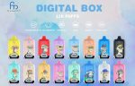 Fumot RandM Digtal box 12000  Puffs Disposable Vape Wholesale - EsmoVape