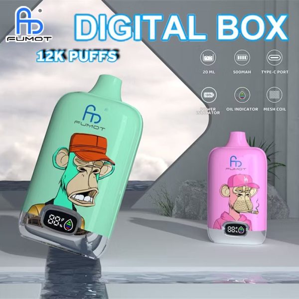 Fumot RandM Digital Box 12.000 Züge Einweg-E-Zigarette Vape Großhandel – EsmoVape