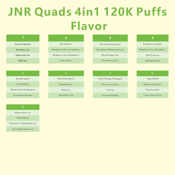 JNR Quads 4-in-1, 120.000 Züge, 60 ml, Einweg-E-Zigarette, Vape, Großhandel – EsmoVape