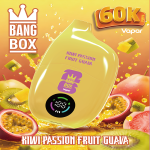 Wholesale Bangbox 60000 Puffs Disposable Vape – Bild 5