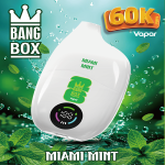 Wholesale Bangbox 60000 Puffs Disposable Vape – Bild 7