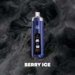 Jp Warehouse Al Fakher Crown Bar 10K Puffs 0% 10000 Puffs Disposable Vape – Bild 3