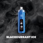 Jp Warehouse Al Fakher Crown Bar 10K Puffs 0% 10000 Puffs Disposable Vape – Bild 2