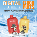 Wholesale Okso Digital 12000 Puffs Disposable Vape (EU Warehouse)